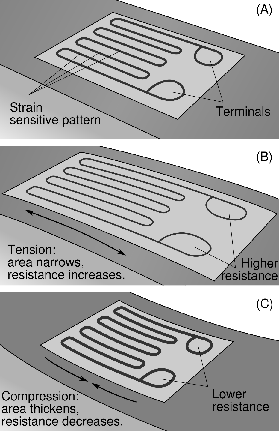 Strain gauge